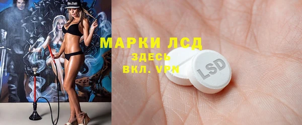 хмурый Алексин