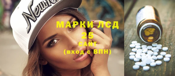ешки Аркадак