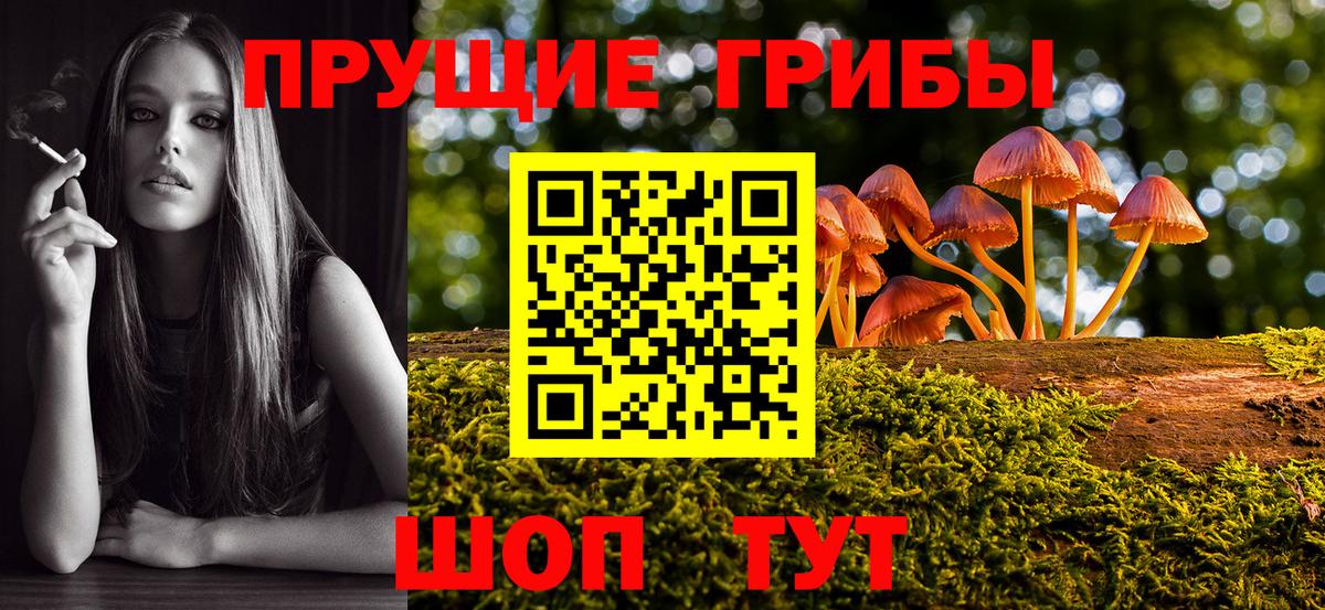 Темрюк  Псилоцибиновые грибы прущие грибы  Вход с VPN 