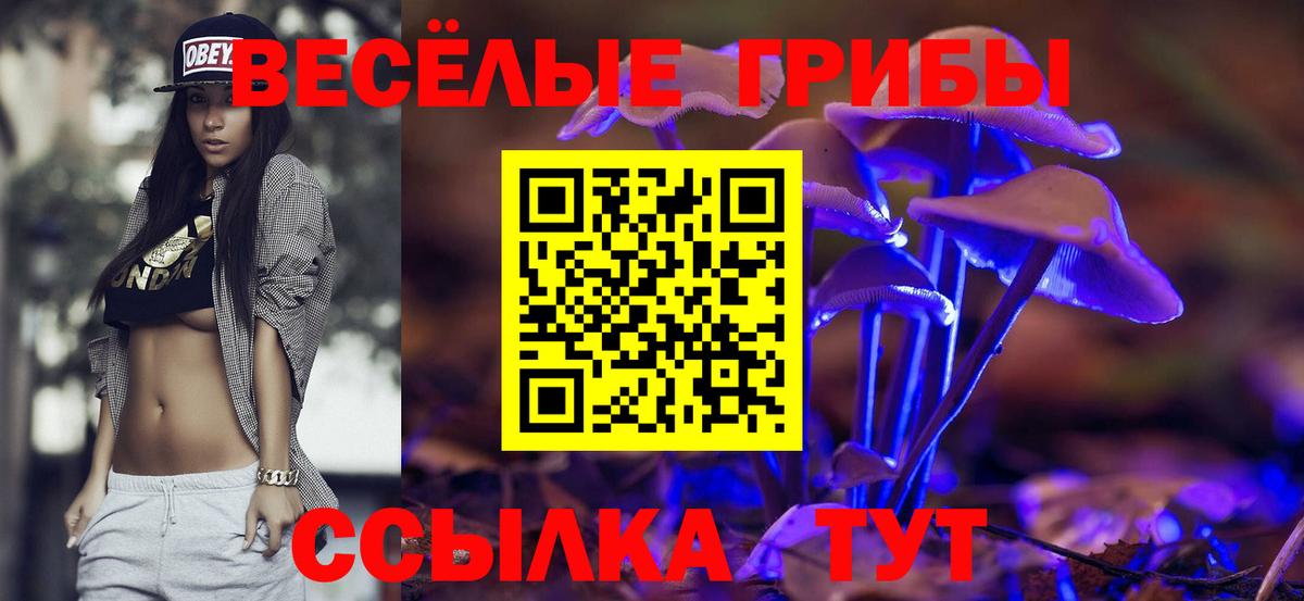 Псилоцибиновые грибы ЛСД Темрюк